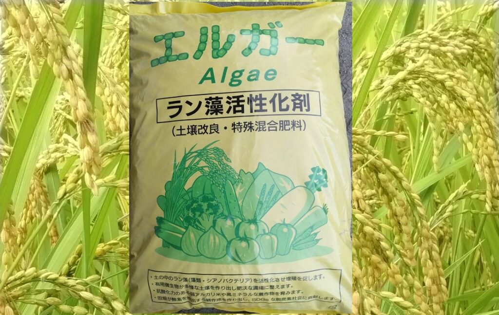 エルガー資材：持続可能な農業を支えるラン藻活性化剤の紹介